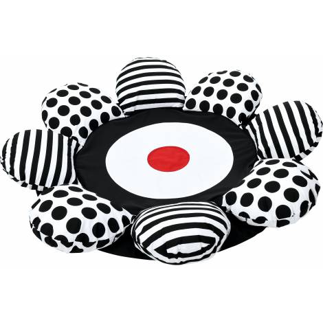 Perna senzoriala floare Contrast - imagine 8